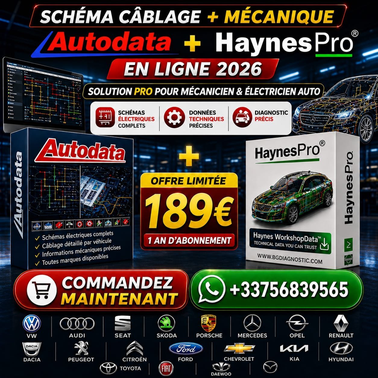 WhatsApp-Image-2026-05-10-at-05.34.41.jpeg HaynesPro + Autodata Onligne 2026 – Image 1